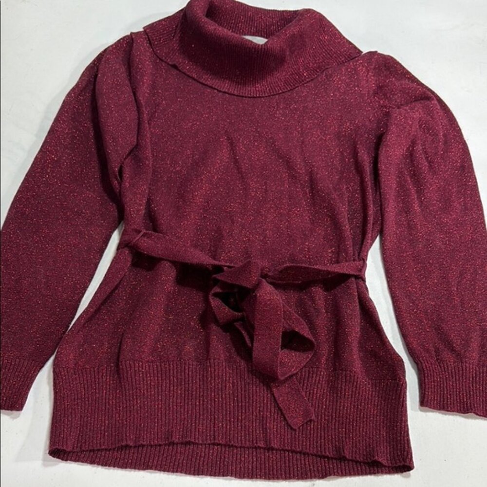 Melanie Lyne Burgundy Sweater with Belt